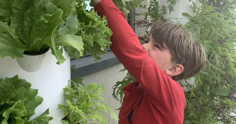 Growing Memories: 5 Ways to Involve Your Kids in Gardening